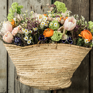 Styling Hanami Atelier