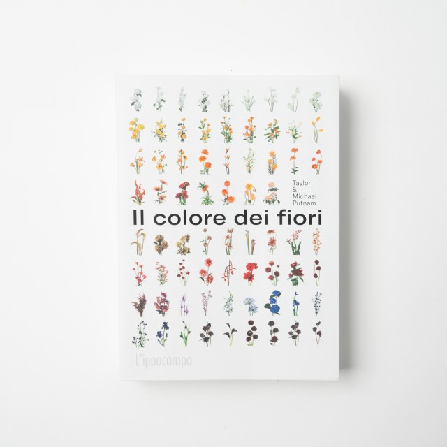 Il colore dei fiori