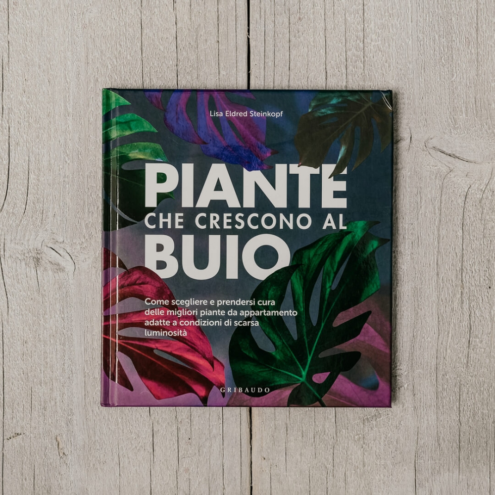 Piante Che Crescono Al Buio