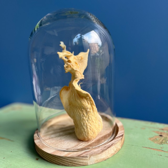 Teca SCULTURA Small