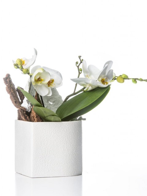 Vaso asimmetrico con orchidea