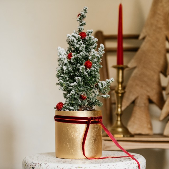 Vaso dorato di Natale con conifera innevata