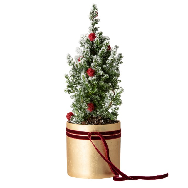 Vaso dorato di Natale con conifera innevata