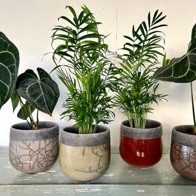 Vaso Minsk Menta - Small